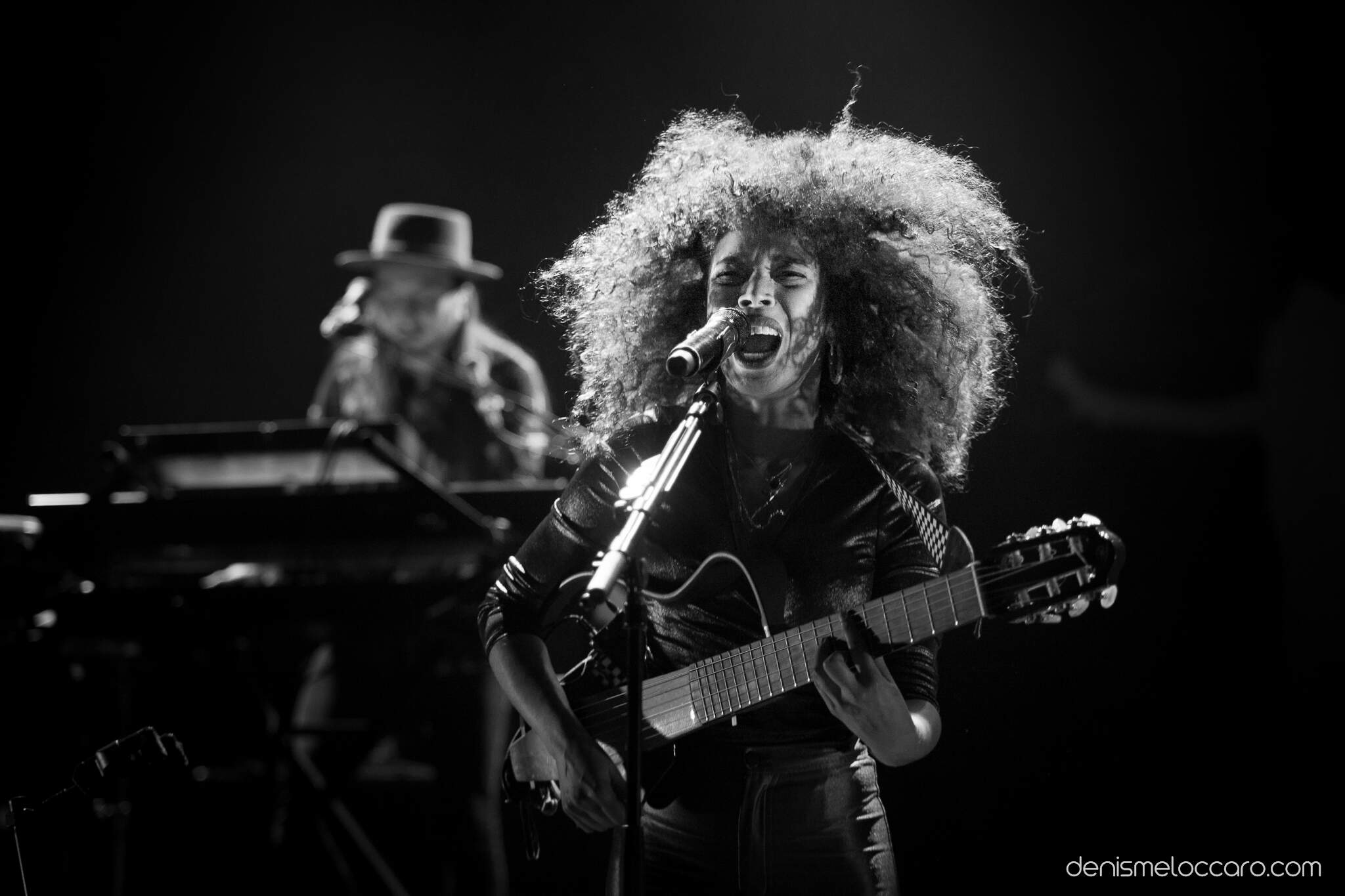 Printemps des Bretelles 2017