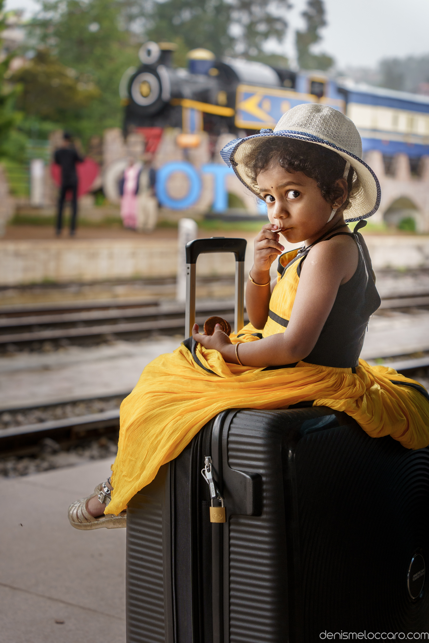 Nilgiri Mountain Railway