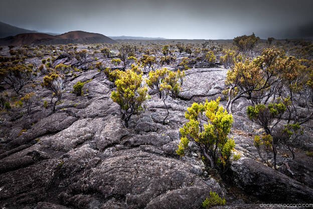 Piton de la Fournaise