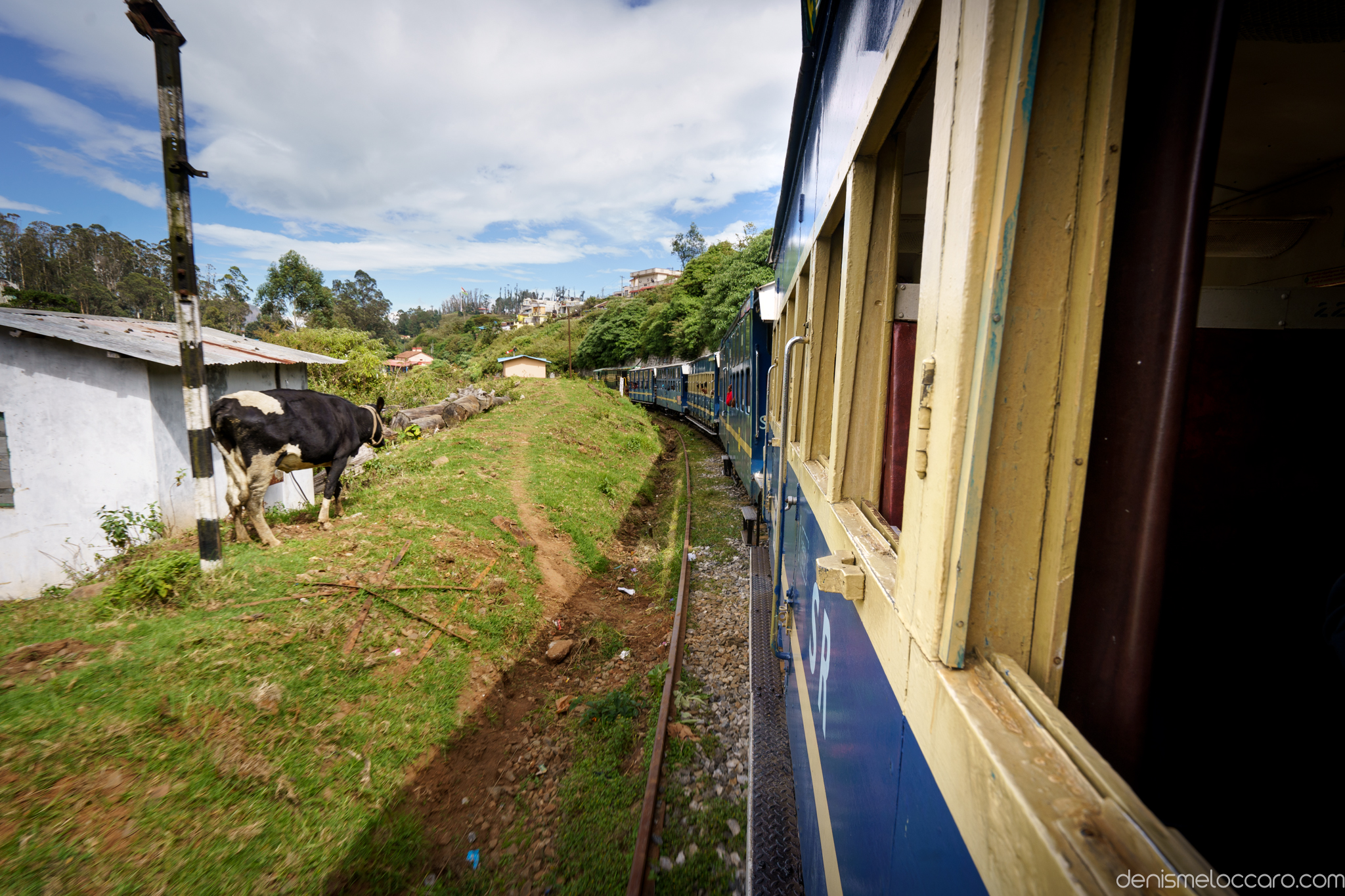 Nilgiri Mountain Railway